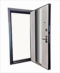 Дверь Квадро Z с зеркалом
